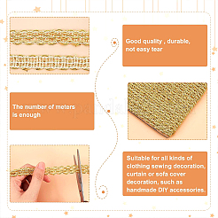 Плетеные кружевные ленты из полиэстера&nbsp;OCOR-WH0060-73A