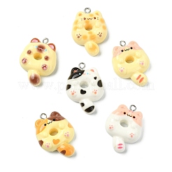 30 шт. 6 цвета непрозрачные подвески из смолы&nbsp;RESI-CJ0004-93