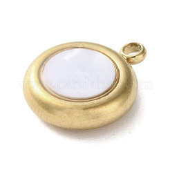 Подвески из акрила из нержавеющей стали 304&nbsp;STAS-M091-02A-G