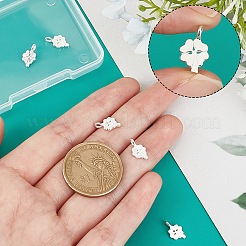 5 шт. 925 подвески из стерлингового серебра&nbsp;STER-BBC0001-21