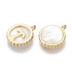 Натуральные раковины&nbsp;KK-S356-087-NF