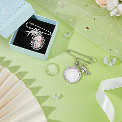 Железа брошь&nbsp;JEWB-FH00015