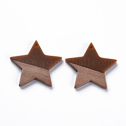 Подвески из непрозрачной смолы и ореха&nbsp;RESI-T035-39B