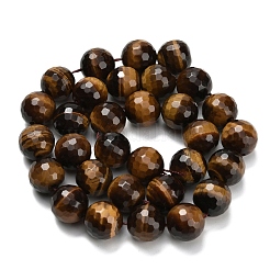Природных тигровый глаз бисер нитей&nbsp;G-L642-F01-12mm