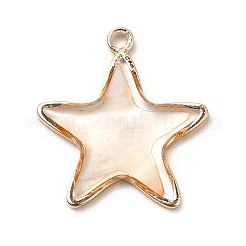 Латунь эмаль подвески&nbsp;KK-K252-10G-08