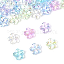 97.2 г двухцветных прозрачных акриловых бусин&nbsp;PACR-FS0001-07