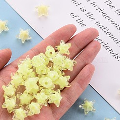 Прозрачные акриловые бусины&nbsp;TACR-S152-11A-07