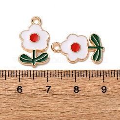 Подвески из эмали и сплава&nbsp;FIND-D304-01A-KCG