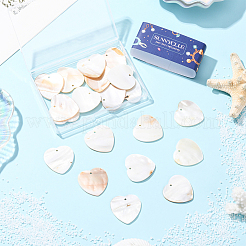 20 шт подвески из натуральных пресноводных ракушек&nbsp;SHEL-SC0001-96