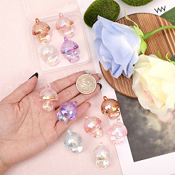 12 шт. 6-х цветные подвески из прозрачного акрила в виде пузырьков&nbsp;TACR-CA0001-24