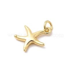 Латунь подвески&nbsp;KK-Z135-14B-G