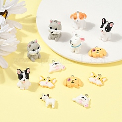 Подвески из непрозрачной смолы с героями мультфильмов&nbsp;RESI-YW0003-18