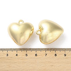 Пластмассовые подвески ccb&nbsp;CCB-C001-09H-G