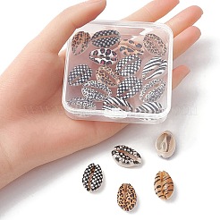 Набивные бусины из натуральных раковин каури&nbsp;SHEL-YW0001-02