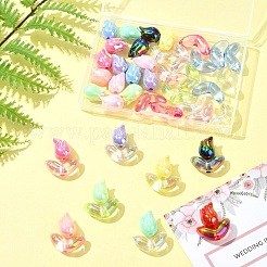 48 шт. 2 стиля акриловых бусин с УФ-покрытием&nbsp;SACR-FS0001-37