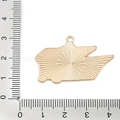 Подвески из спортивного сплава с эмалью&nbsp;ENAM-I074-01G-15