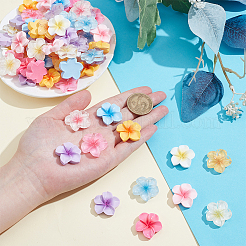 96шт 12 цвета прозрачные кабошоны из смолы&nbsp;CRES-ME0001-03