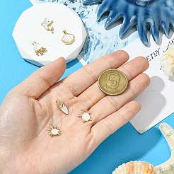 6 шт. 6 стиля подвески из латуни с паве из натуральных белых ракушек на морскую тематику&nbsp;KK-CJ0003-66