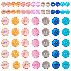 70 шт. 14 стиля пуговиц из пресноводной ракушки&nbsp;SHEL-TA0001-13