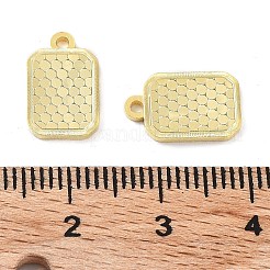 925 серебряный шарм&nbsp;X-STER-C003-02G