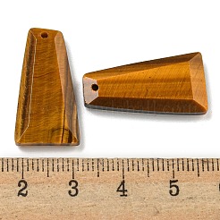 Природных тигровый глаз подвески&nbsp;G-G123-02A