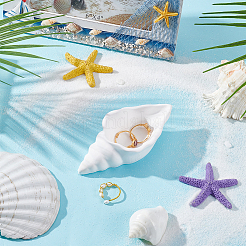 Украшения для демонстрации воска в форме ракушки&nbsp;DJEW-WH0042-88