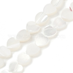 Нити бусин из натуральных трохоидных/трохус ракушек&nbsp;SSHEL-K012-04A