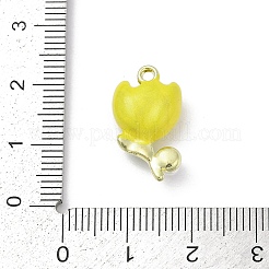 Подвески из эмали и сплава&nbsp;PALLOY-R151-45G-01