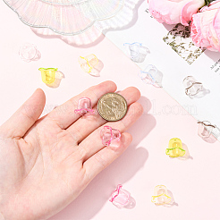 120шт 6 цвета прозрачные акриловые колпачки для бусин&nbsp;TACR-SC0001-51