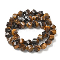 Природных тигровый глаз бисер нитей&nbsp;G-C267-B16