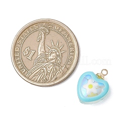 Подвески из стеклянной эмали&nbsp;PALLOY-JF05132