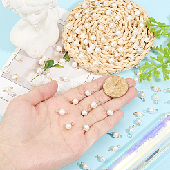 80 шт.&nbsp;PALLOY-HY00117