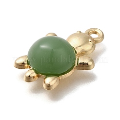 Подвески из акрилового сплава&nbsp;FIND-M041-03G