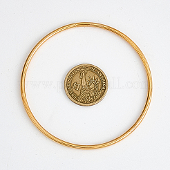 10 шт. железное кольцо для самодельной плетеной сети/паутины с перьями&nbsp;IFIN-SP0001-56B-KCG