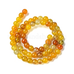 Окрашенные естественно дракон жил агат бисер пряди&nbsp;X-G-C068-6mm-15