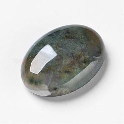 Природные моховой агат кабошонов&nbsp;G-F296-09-22x30mm