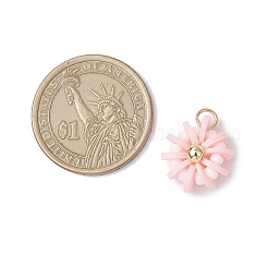 Подвески из полимерной глины&nbsp;PALLOY-MZ00840-04