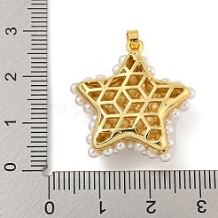 Покрытие стойки&nbsp;X-KK-N255-03C-G-RS