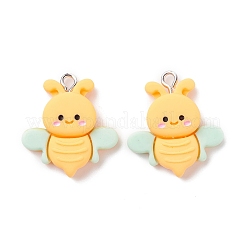 Подвески из непрозрачной смолы&nbsp;RESI-F030-15