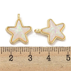 Подвески из полупрозрачной смолы&nbsp;KK-M291-24C