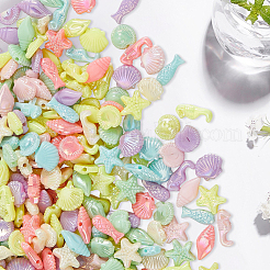 100 г непрозрачных акриловых бусин&nbsp;SACR-PA0001-14