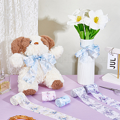 5 рулон 5-х цветной полиэфирной ленты&nbsp;OCOR-HY0001-60