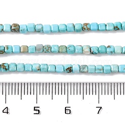 Природные Говлит бисер нитей&nbsp;G-G001-A02-03