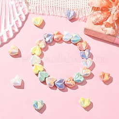 24 шт. 6-х цветные акриловые бусины с имитацией жемчуга&nbsp;OACR-CJ0002-49