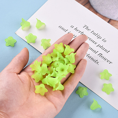 Прозрачные акриловые бусины PLF018-05-1