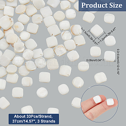 3 нить бусин из натуральных пресноводных ракушек&nbsp;SHEL-NB0001-46
