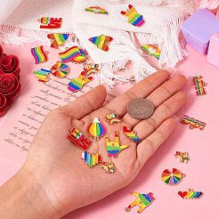 26 шт. 13 стиля радужных эмалевых подвесок из сплава гордости&nbsp;ENAM-TA0001-88