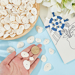 120шт натуральные пресноводные бусины из ракушек&nbsp;BSHE-PA0001-04