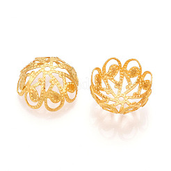 Железный шарик крышки&nbsp;IFIN-ZX002-08G