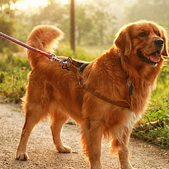 18 шт. 18 стиля алюминиевого сплава карабины для скалолазания&nbsp;AJEW-AN0007-15